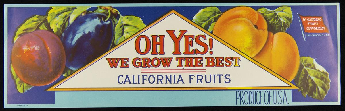 Label with red and purple plums on left side; peaches or nectarines on right side; triangular shape in middle containing text