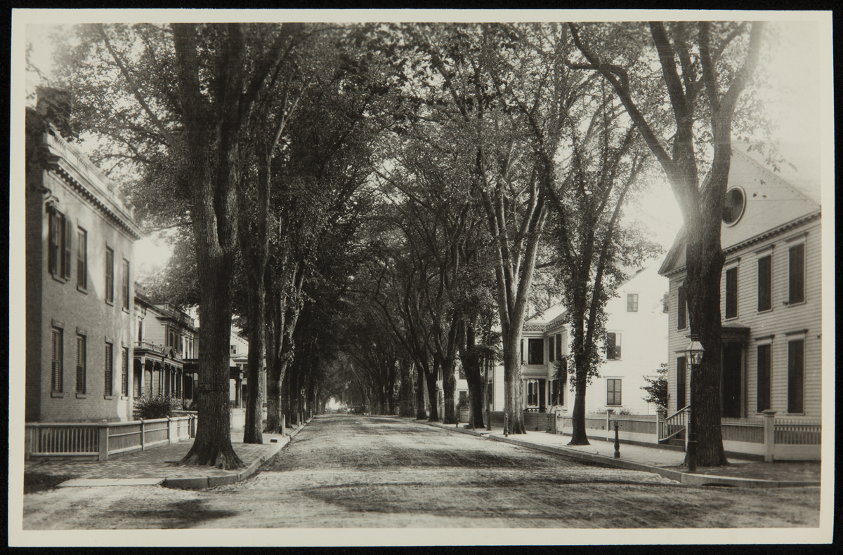 Noah Webster Home at Its Original Site, New Haven, Connecticut, circa 1927 Tree-lined street with large houses on either side