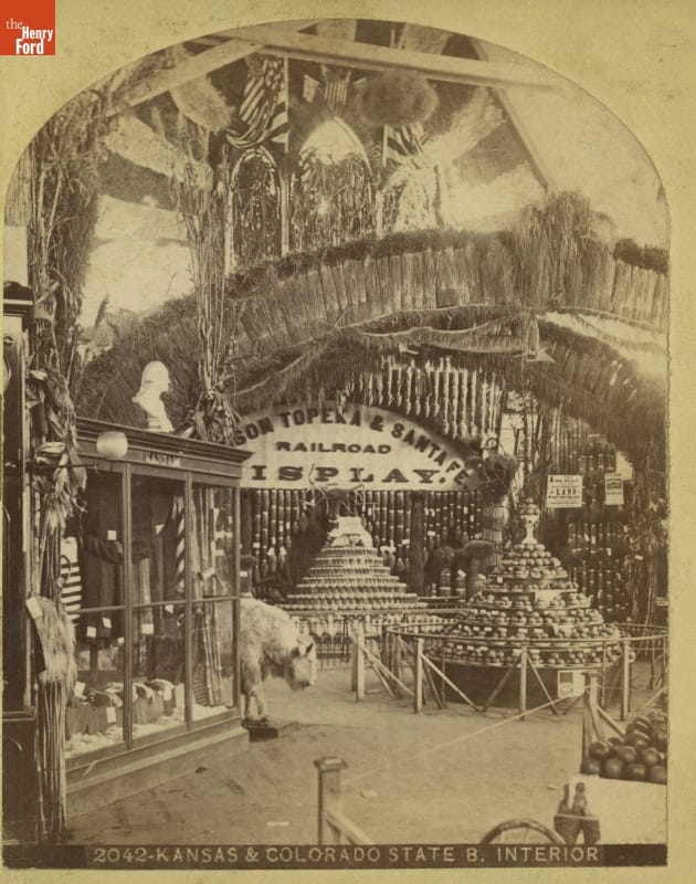 Elaborate exhibit with cases, stacked items, and taxidermied animals
