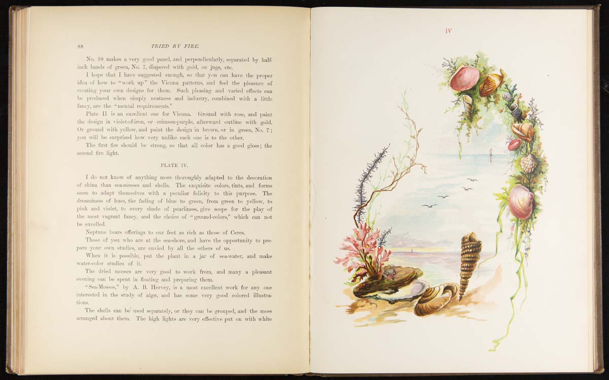 Book open to one page of text and one of illustration of a beach, the ocean, seashells, and seaweed