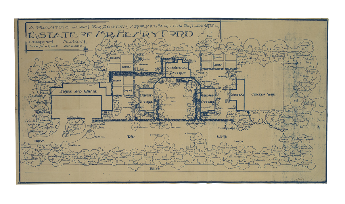 Landscape Architecture Drawing for Fair Lane, "A Planting Plan for section around service buildings," June 1920 Blueprint showing somewhat abstracted indications of trees, lawn, house