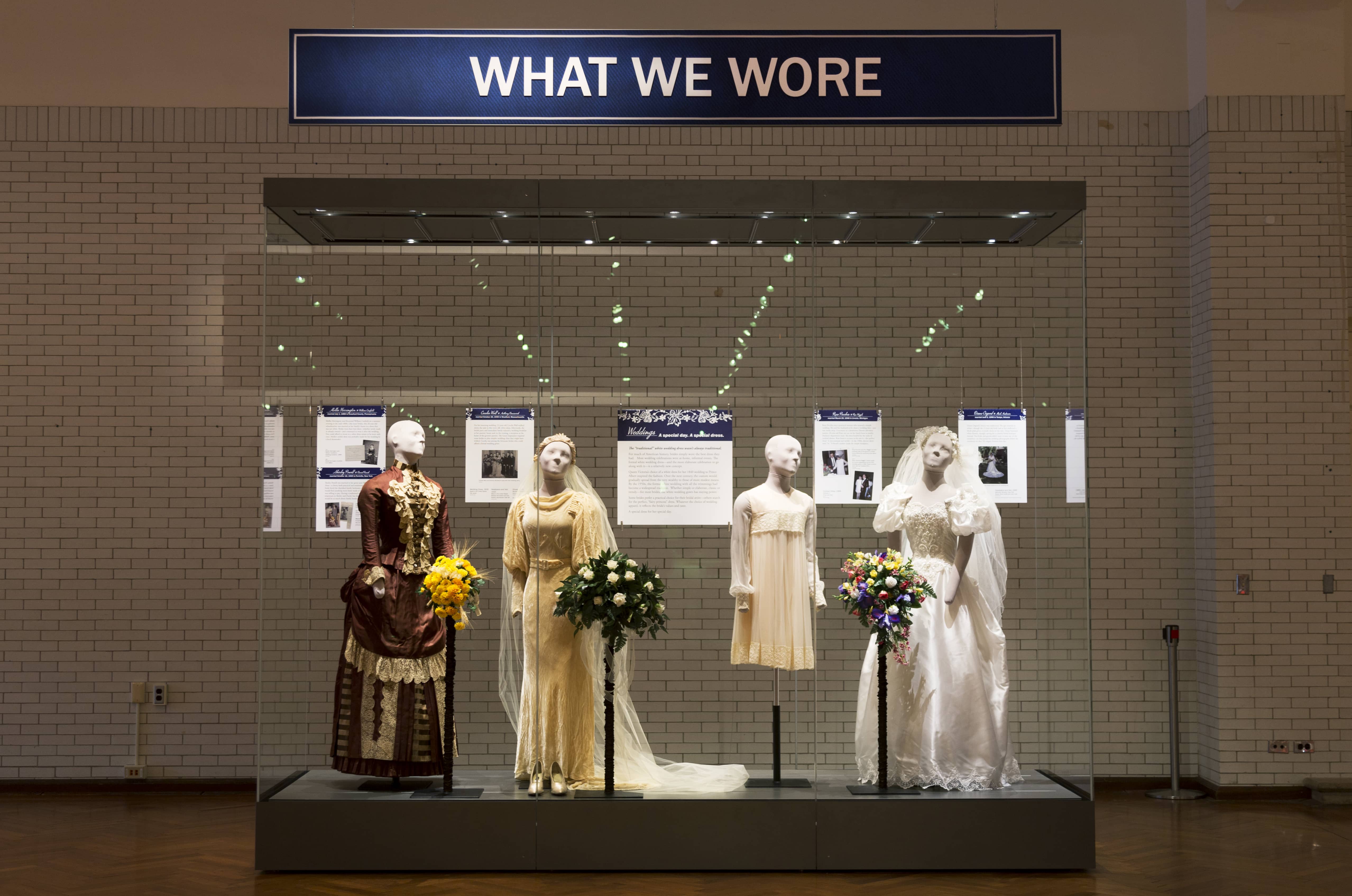 8U4A6773-1 8U4A6773-1