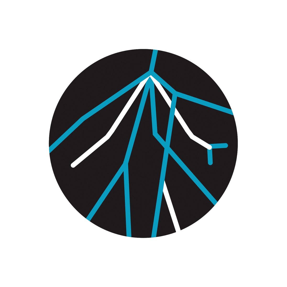 Circular graphic with blue and white arcing lines (sort of like lightning) on a black background