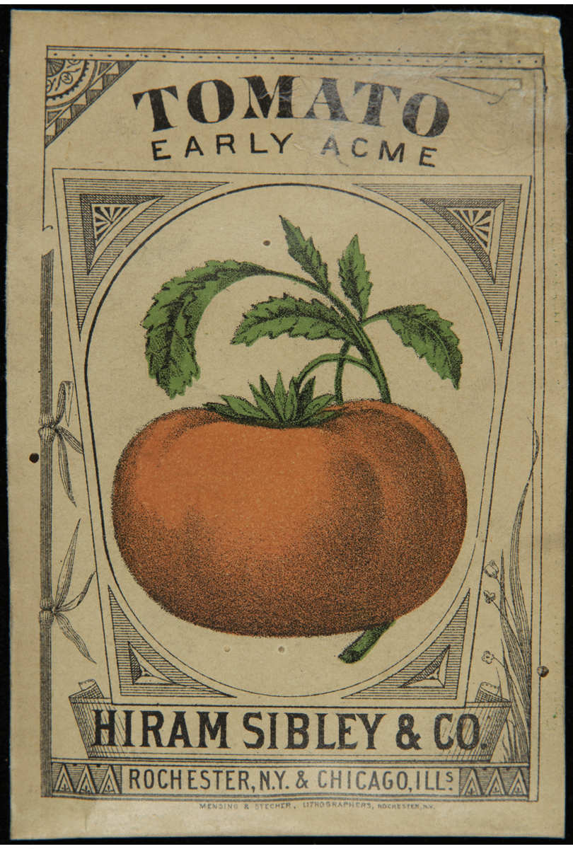 Tomato seed packet with tomato illustration on front & text on back