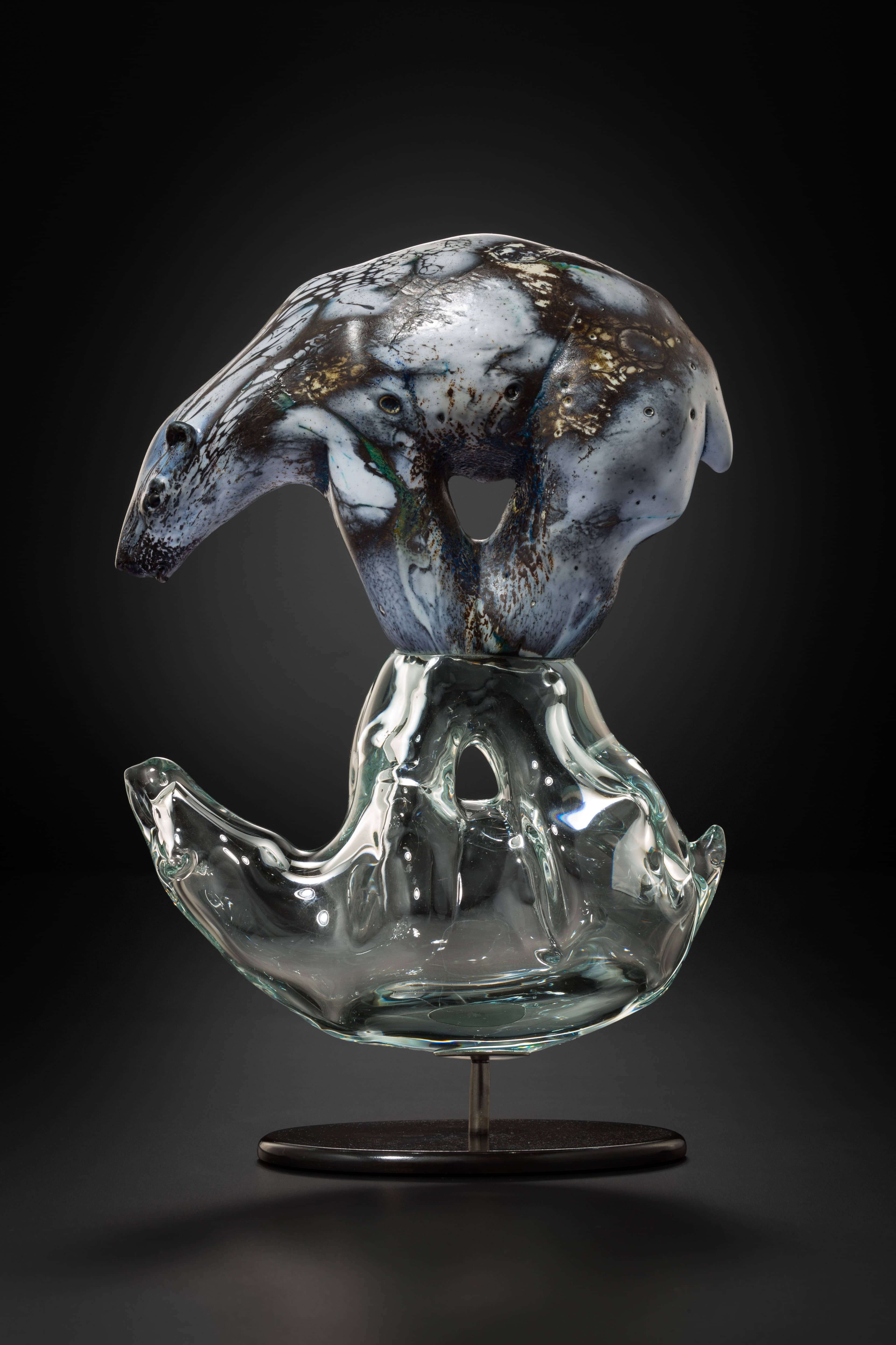 shelley-bear shelley-bear