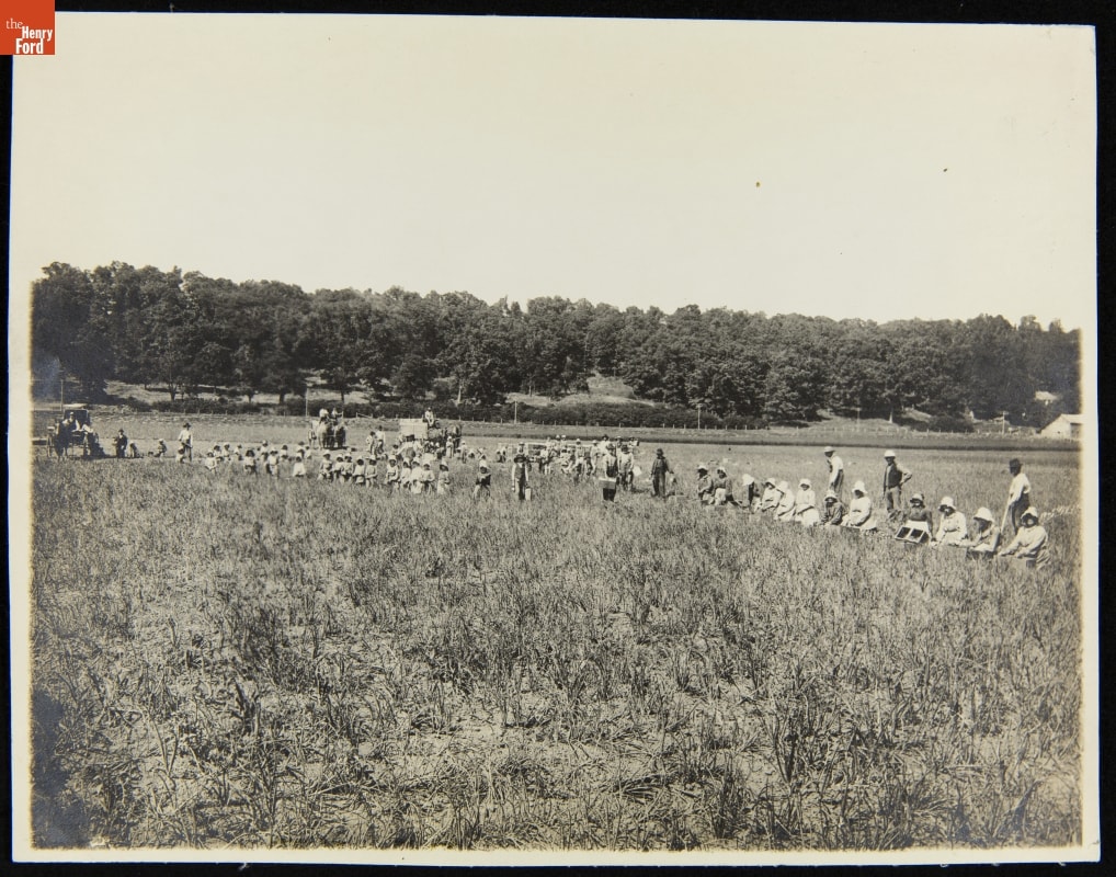 Open field with a large group of people sitting/standing/working in the distance, some with boxes