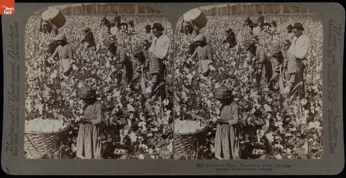 Double image showing people of color picking cotton in a field with a large basket of cotton in foreground