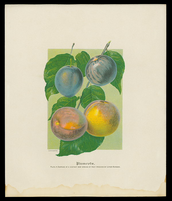 [WhatIf]-Carver_inline_THF27862